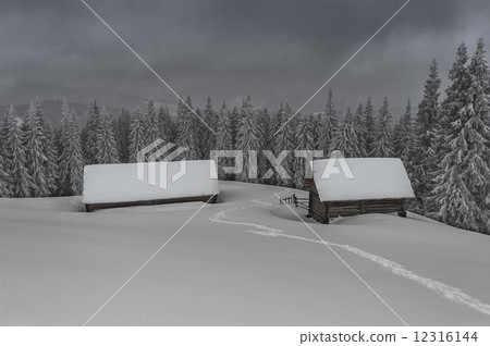 house house 12316144