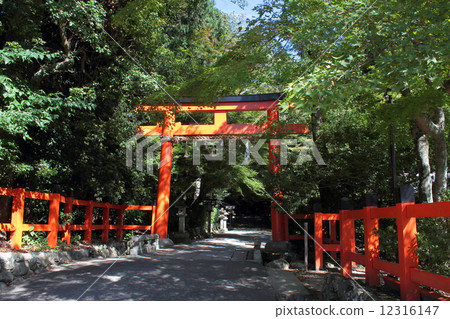 Torii of the approach to Kyoto Ota shrine 12316147