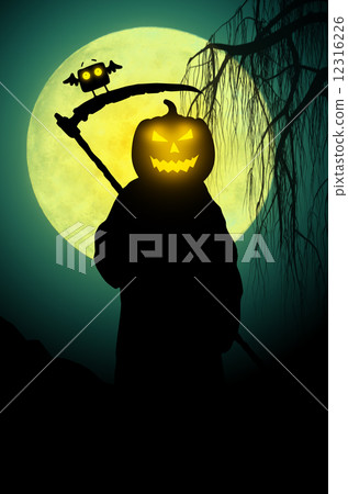 Silhouette of death. Halloween style 12316226