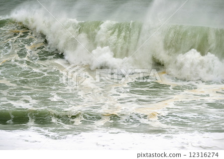 颱風波 12316274