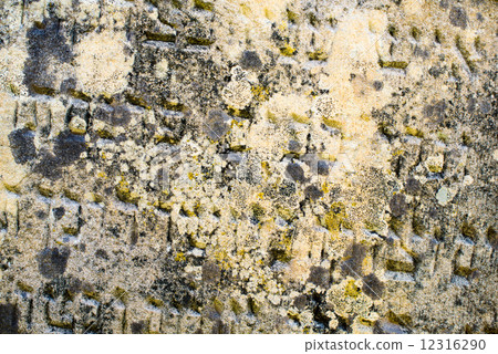 Inscription on the old Jewish gravestone 12316290