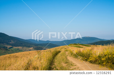 Dirt road against the landscape in the Ukrainian Carpathian Moun 12316291