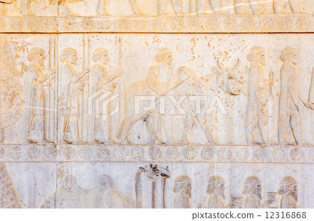Persepolis ruins bus relief (Iran, Shiraz North) 12316868