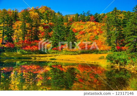 Takahara-numa of autumn leaves Takinumima Takahara-numa of autumn leaves Takinumima 12317146