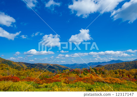 Takahara Numazu University Swamp of Autumn Leaves Takahara Numazu University Swamp of Autumn Leaves 12317147