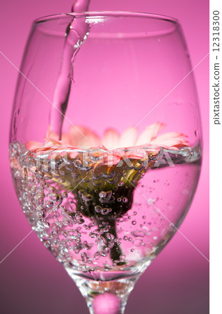 Pour water into the wine glass with the gerbera Pour water into the wine glass with the gerbera 12318300