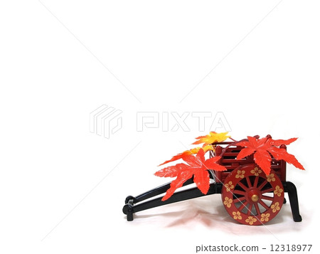 Autumn leaves 12318977