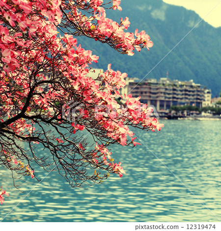 Montreux and Lake Geneva, Switzerland. Montreux and Lake Geneva, Switzerland. 12319474