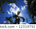 Sky of Iriomote Island, Okinawa 12319792