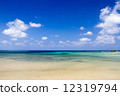Okinawa Iriomote island sea 2 12319794