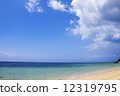 Okinawa Iriomote island sea 3 12319795