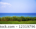 Okinawa Iriomote island sea 4 12319796