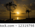Asahi of Iriomote 1 12319798