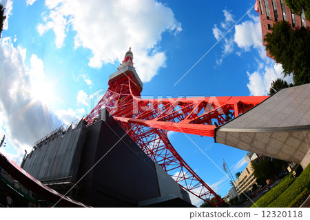 Tokyo Tower    12320118