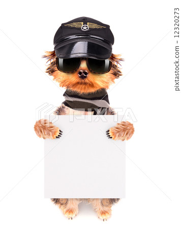 A dog wearing a cap and glasses with banner 12320273