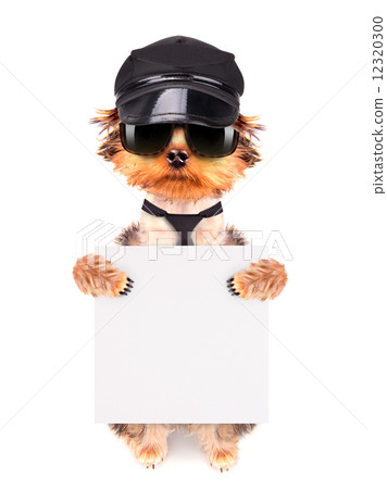 A dog wearing a cap and glasses with banner 12320300