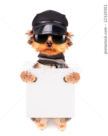 A dog wearing a cap and glasses with banner 12320301