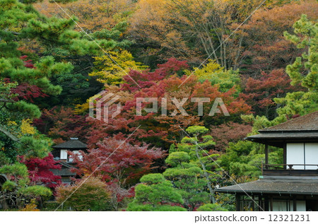 Sankeien 12321231