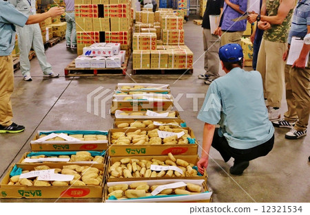 Lotus Notes Lotus Notes 12321534