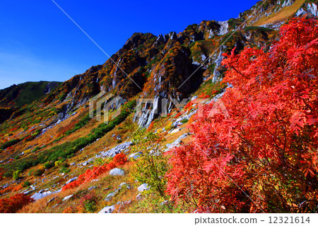Kiso Komagatake Senjyojiki Karl's autumn leaves 12321614