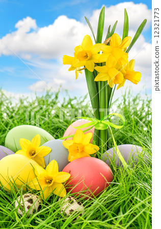 easter eggs and flowers with blue sky easter eggs and flowers with blue sky 12321773