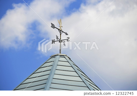 Weathercock 12322745