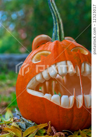 Halloween pumpkin Halloween pumpkin 12323017