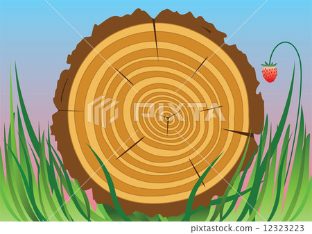 vector wooden cut vector wooden cut 12323223