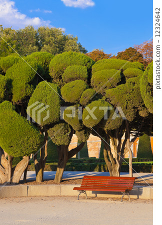 Trees at Retiro park - Madrid 12324642