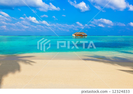 Tropical beach at Maldives Tropical beach at Maldives 12324833