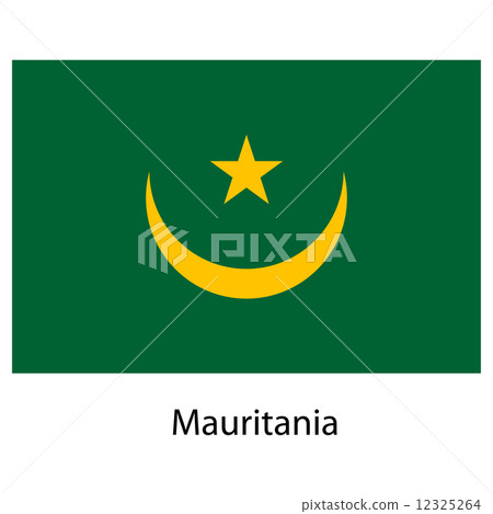 Flag  of the country  mauritania. Vector illustration.  12325264