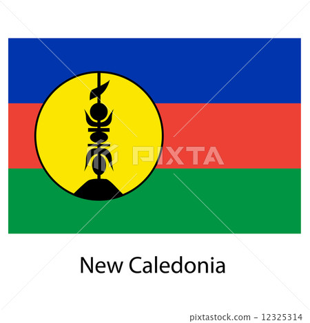 Flag  of the country  new caledonia. Vector illustration.  12325314