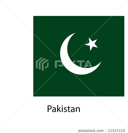 Flag  of the country  pakistan. Vector illustration.  12325319