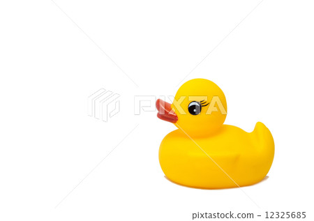 鴨娃娃 鴨娃娃 12325685