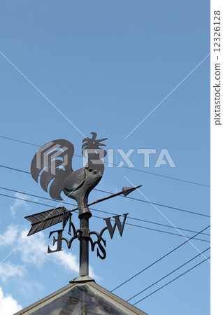 Weathercock 12326128