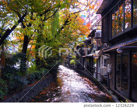 Takase River in autumn 12326229