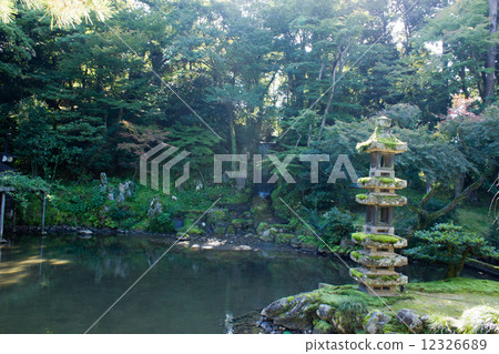 海塔和小百合 12326689