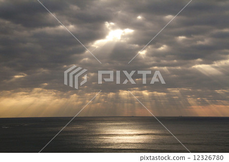 Angel steps 12326780