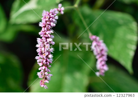 Oketade Oketade 12327963