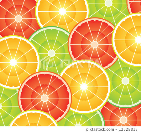 vector citrus slices vector citrus slices 12328815