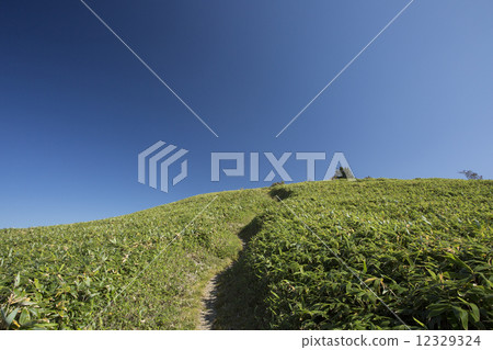 草原的路徑 草原的路徑 12329324