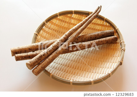 Burdock Burdock 12329683