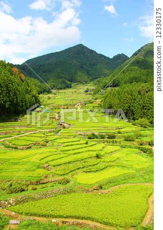 四谷千張 四谷千張 12330175