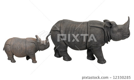 cray rhino and calf 12330285