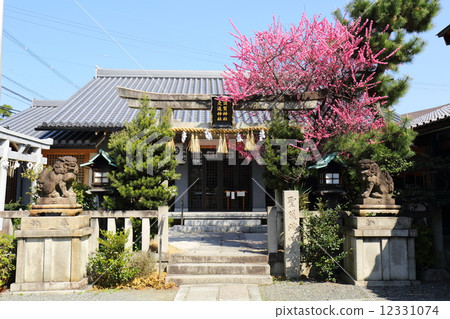 Kyoto Suka Shrine and Traffic Shrine Kyoto Suka Shrine and Traffic Shrine 12331074