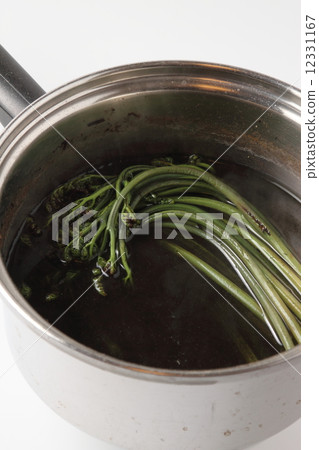 Nature's gift Warabi Nature's gift Warabi 12331167