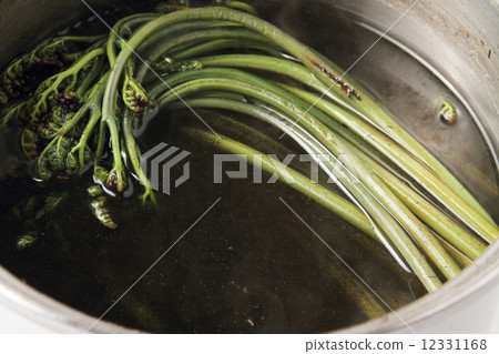 Nature's gift Warabi Nature's gift Warabi 12331168