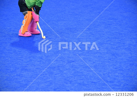 Hockey's goalkeeper Hockey's goalkeeper 12331206