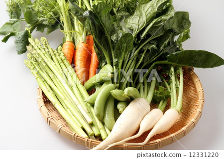 On parade of vegetables 12331220