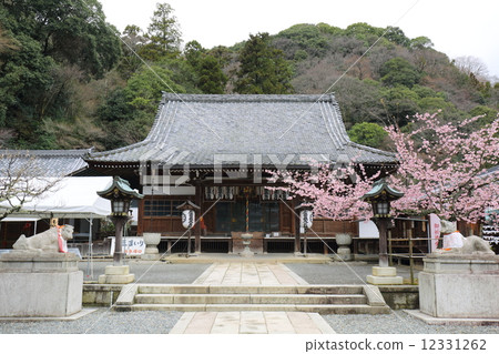 Kyoto Horinji Temple 12331262